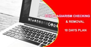 cdr-report-writing-services-plagiarism-check-and-removal-10-days-plan