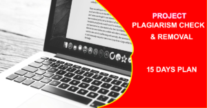 cdr-report-writing-services-project-plagiarism-check-and-removal-15-days-plan